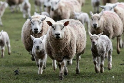 “What are you looking&nbsp;for?”