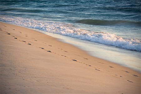 Called By Name Ministry