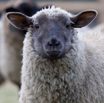 Called By Name Ministry 